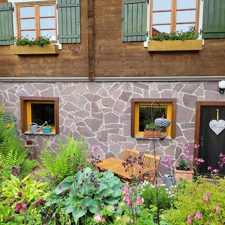Blick In Den Garten Holzschlag Buitenkant foto