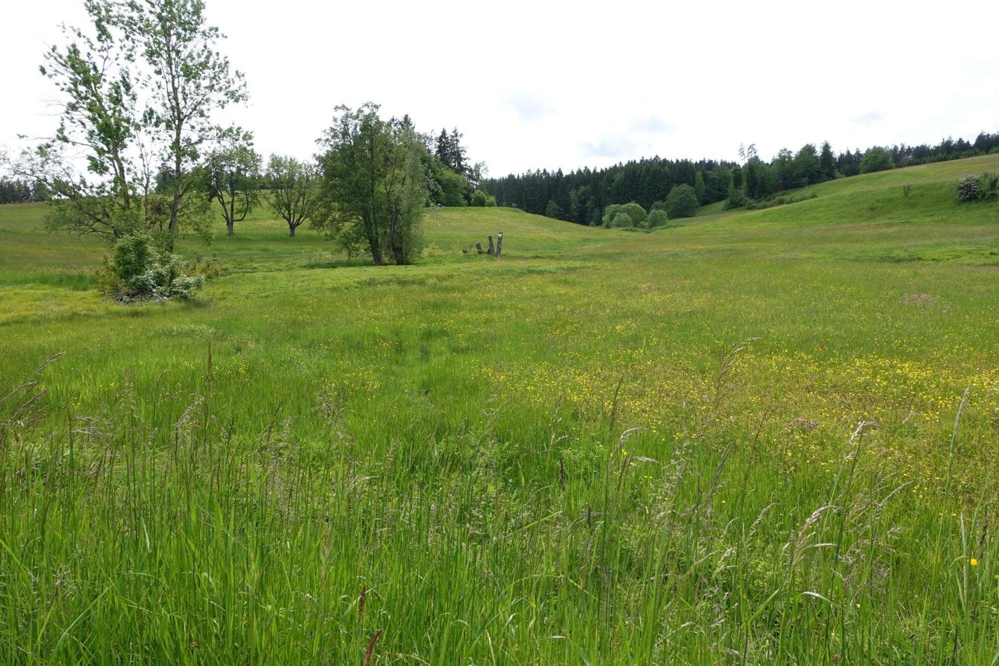 Blick In Den Garten Holzschlag Buitenkant foto
