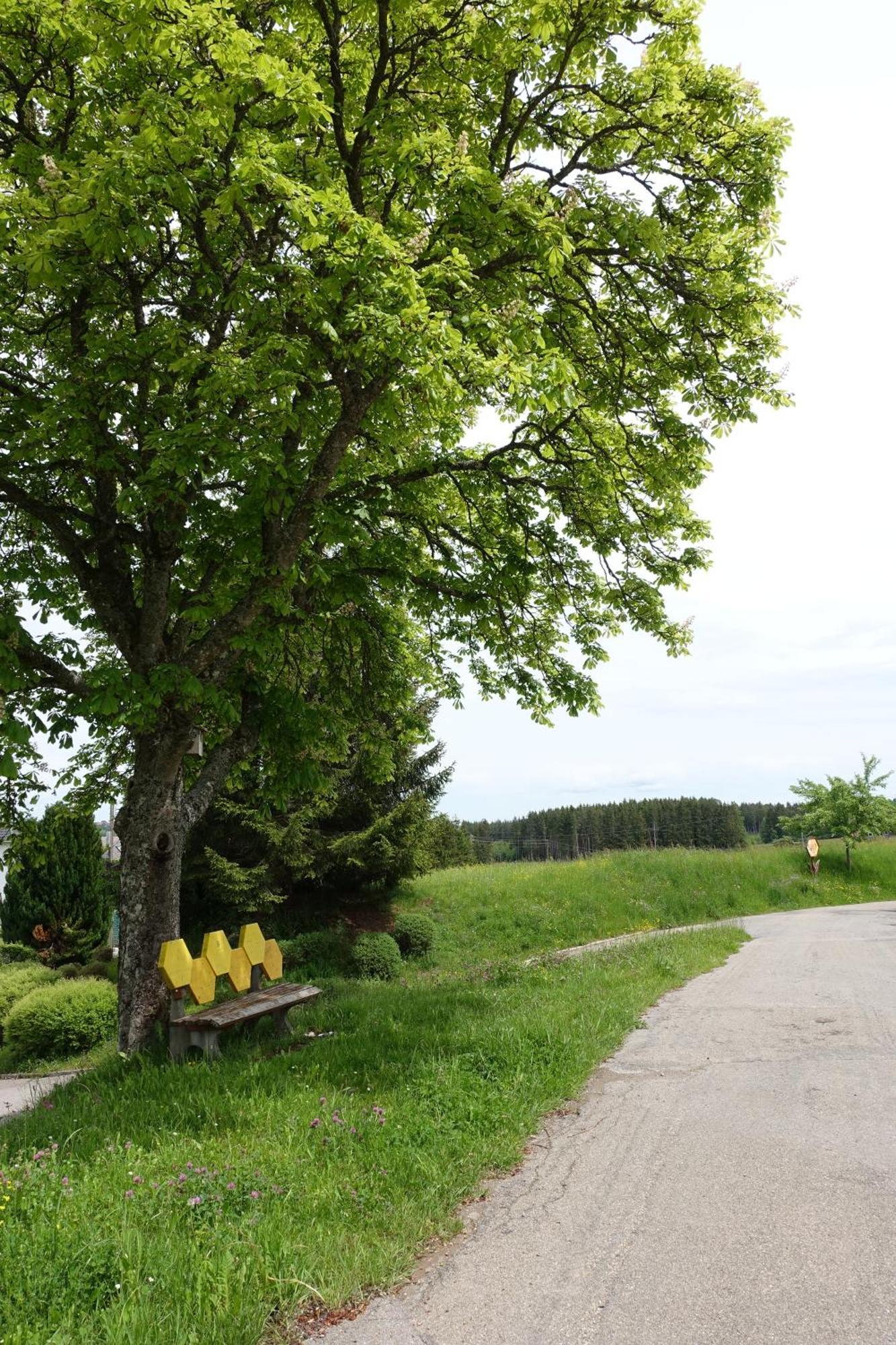 Blick In Den Garten Holzschlag Buitenkant foto